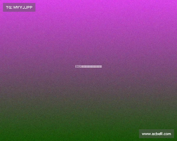 EDG骑士团：银龙破晓的另一种荣光